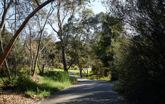 Photo of monash aboriginal gardens clayton campus