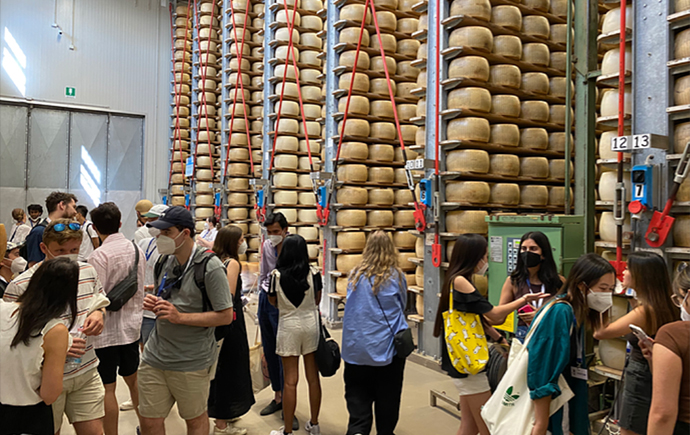 Students tour the Parmifiano Reggiano Cheese Factory.