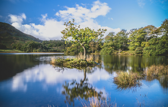 Photo of lake
