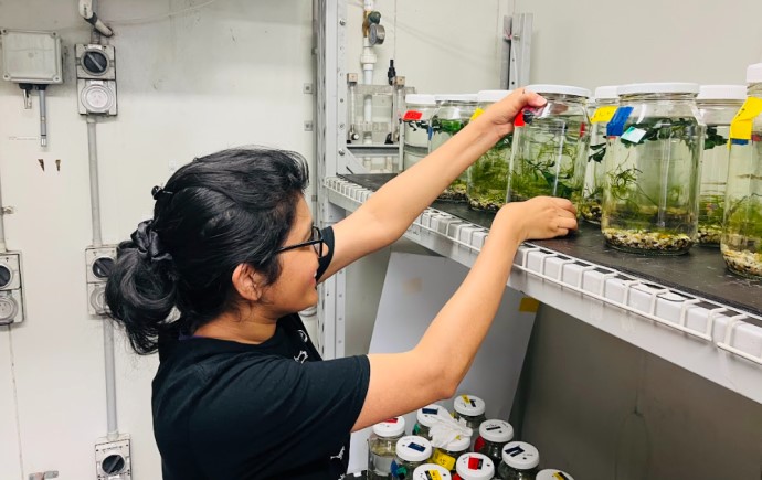 Scientist observes jars filled with seawater