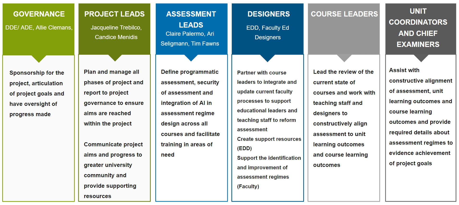 Table showing six columns starting with Governance, Project leaders, assessment leads, designers, course leaders, unit coordinators and chief examiners. each column has a description of the scope of that role.