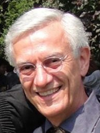 Professor Mohamed El-Sioufi