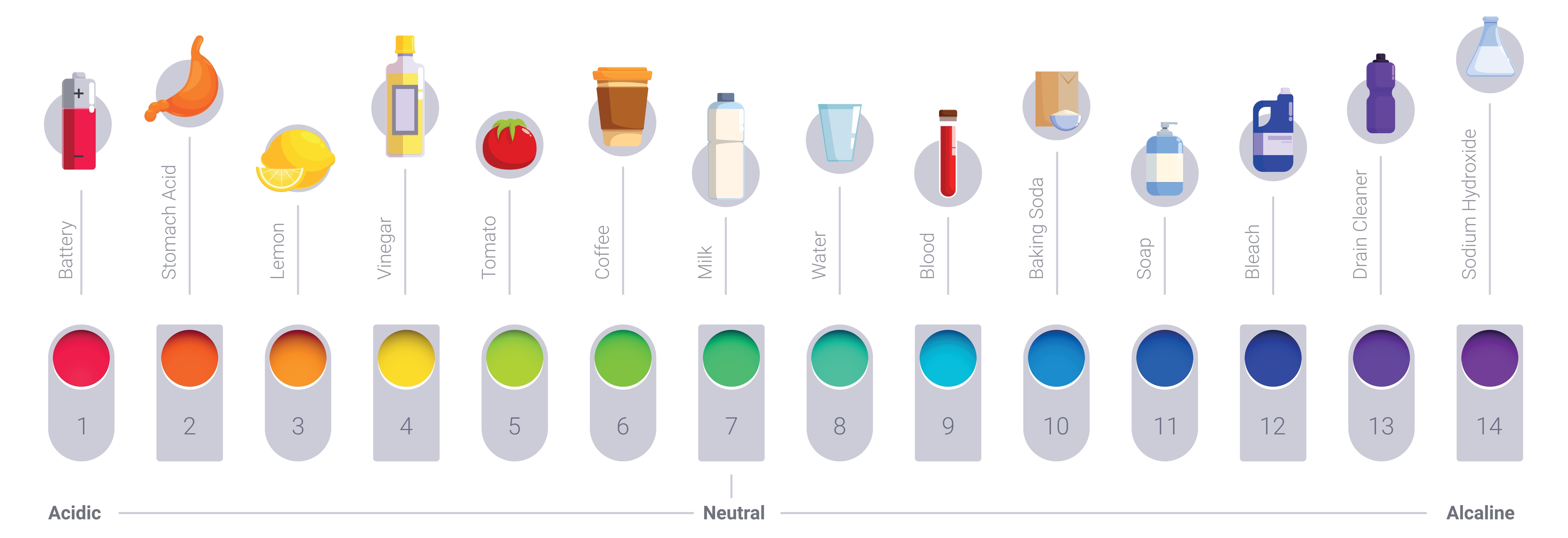 A visual representation of the pH scale, with notable substances for each pH. For example, coffee at approximately pH 6 and stomach acid at approximately pH 2