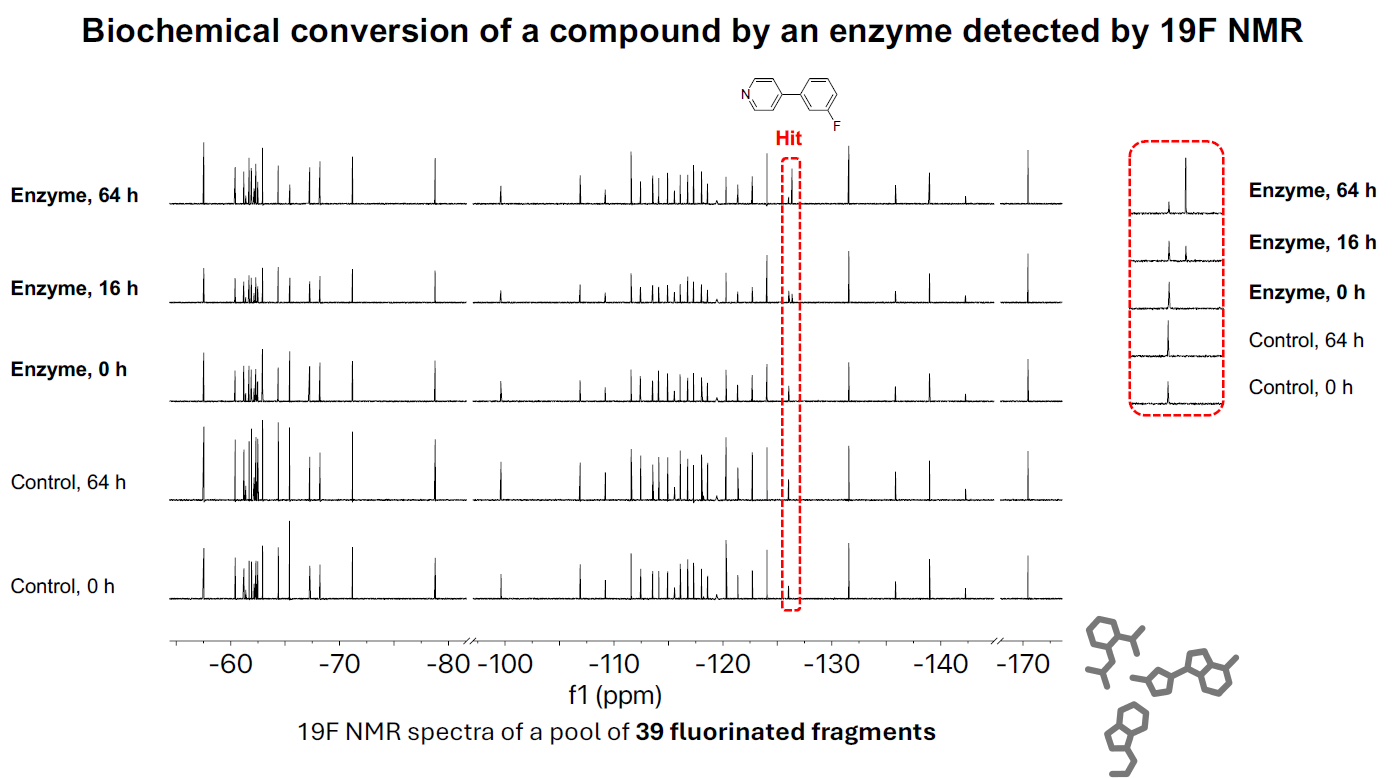 Biochemical conversion of a compound by an enzyme detected by 19F NMR