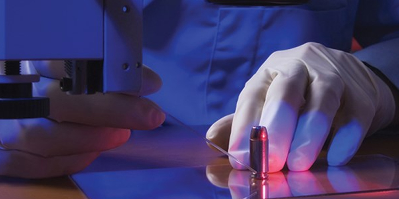 Forensic investigation 