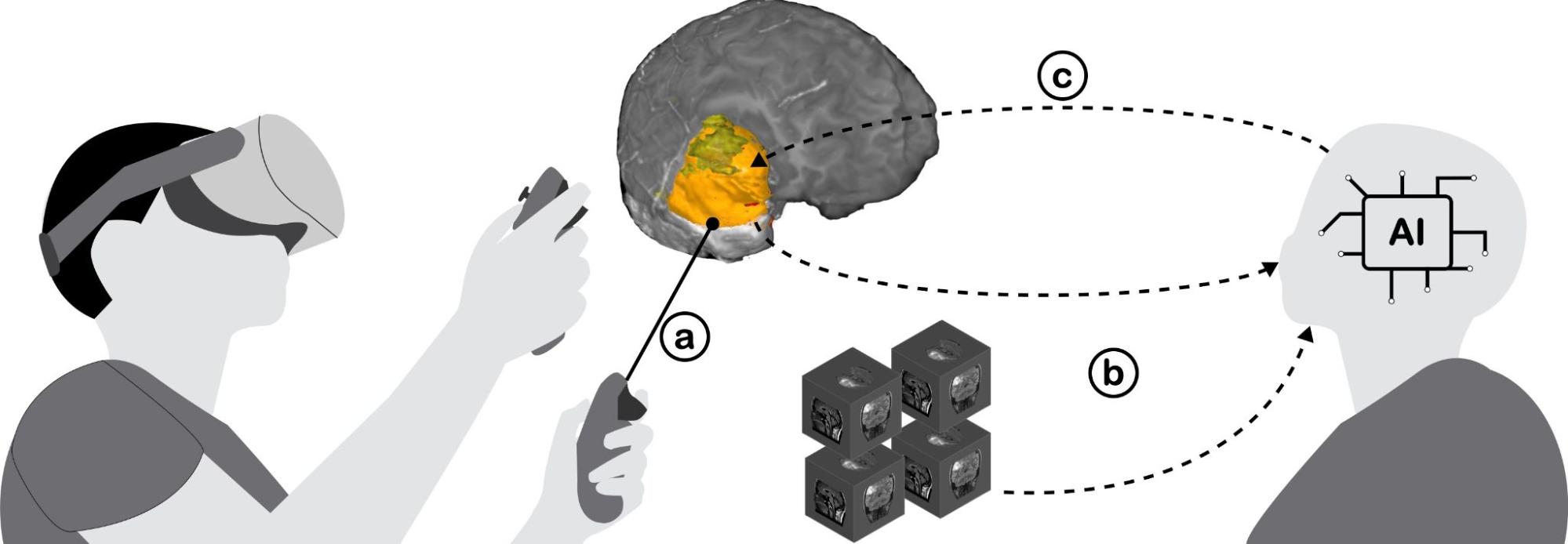  Brain Tumour Segmentation