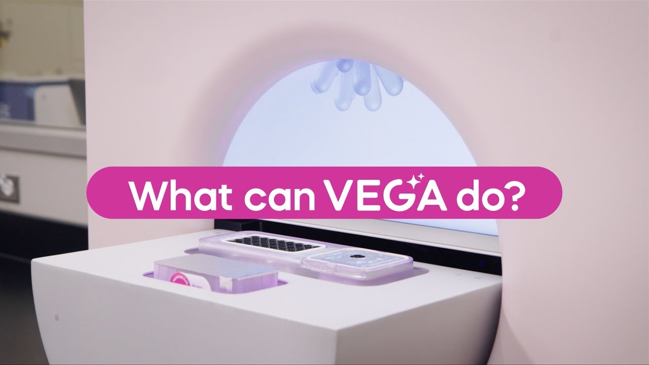 what can Vega do?