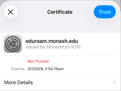 Screenshot of verification window