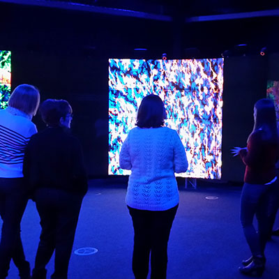 Day of immunology Snapshots of the immune system photographic exhibition