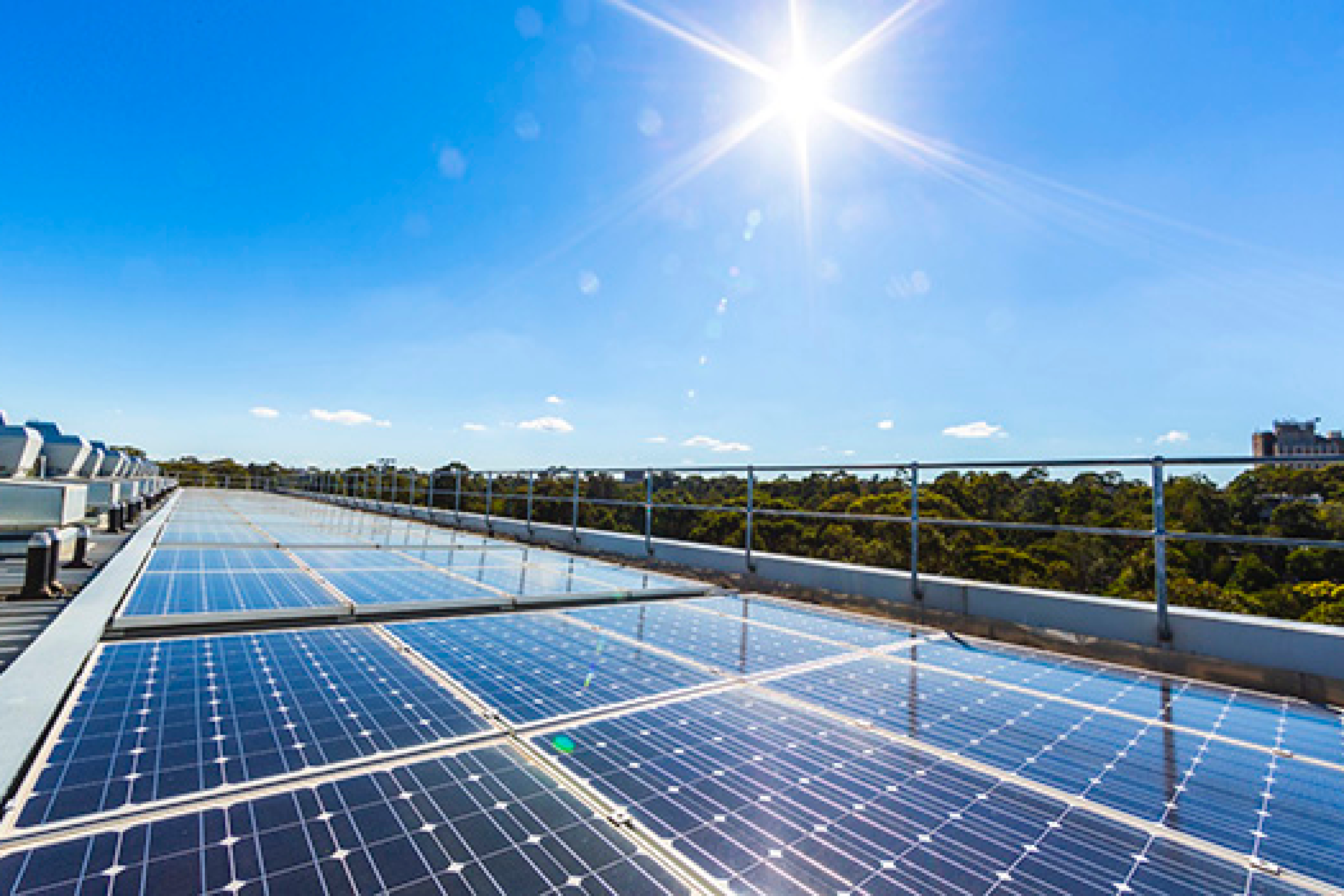 Net Zero Emissions