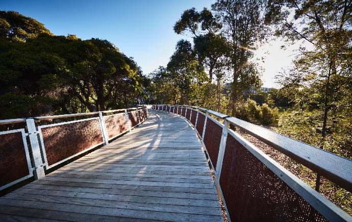 Monash bridge