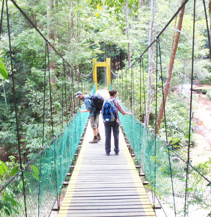 104.JPG jungles of Borneo