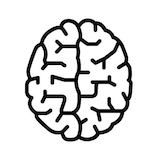 Brain lineart