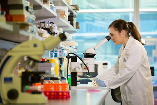 Dr Rebekah Engel, Abud Lab at the Monash Biomedicine Discovery Institute.