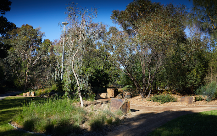 Image of monash clayton campus aboriginal garden