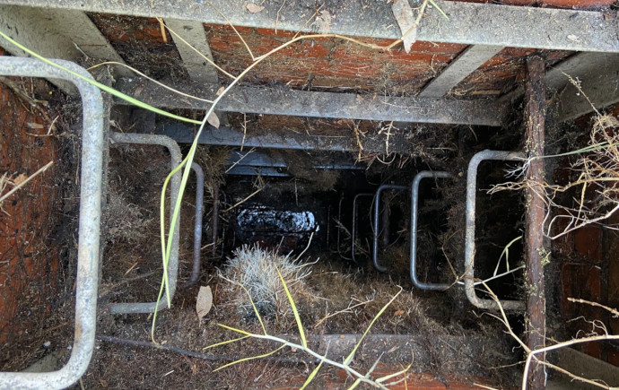Two ladders descend into hole with water at the bottom. The hole has a steel structure and is overgrown with grasses.