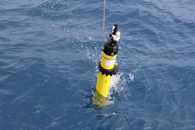 VM apex float in water