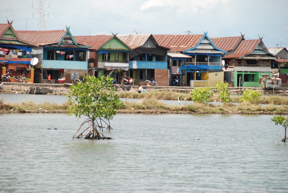 Rise project Makassar houses