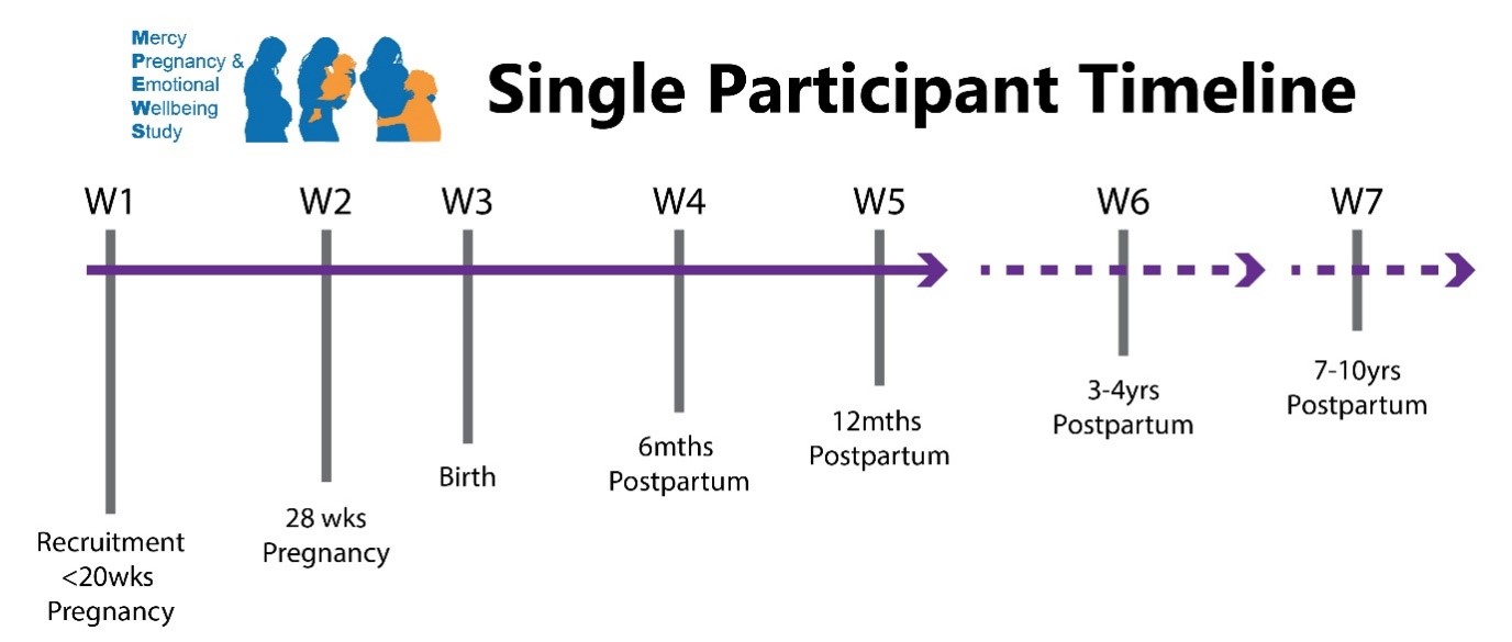 MPEWS timeline
