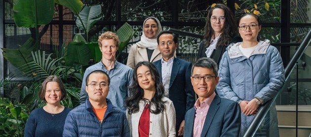 stem call group