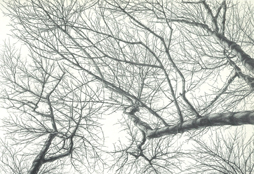 https://www.monash.edu/__data/assets/image/0007/3755356/1997-Rieko-Hidaka_580px.JPG