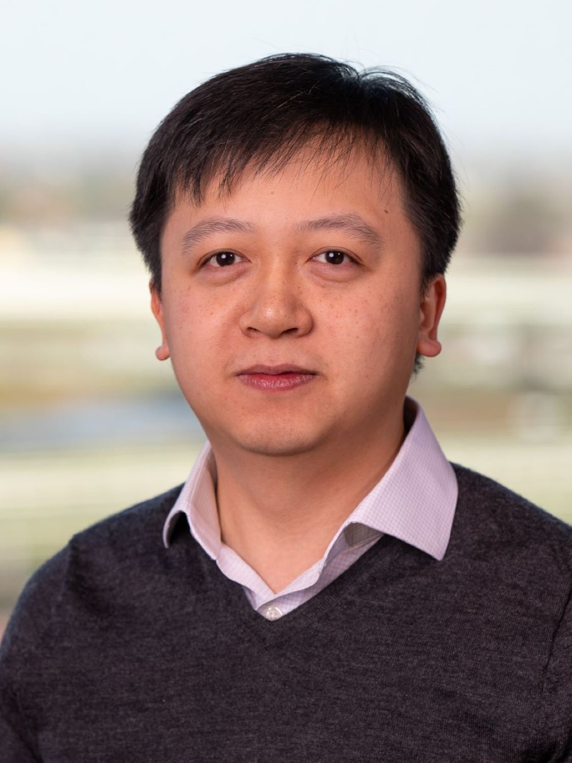 Professor Huu Nhan Duong