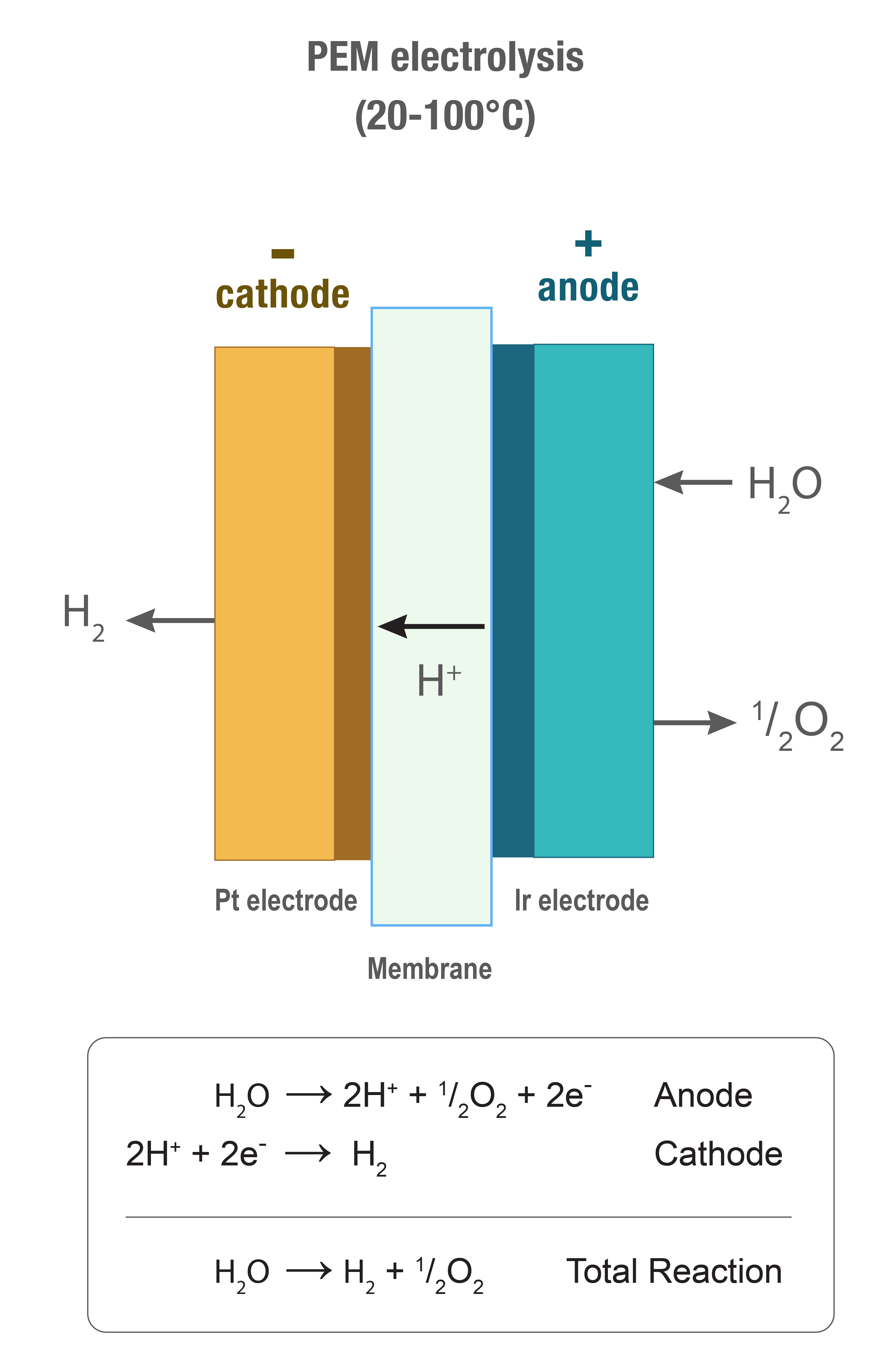 Labelled diagram illustrating PEM electrolysis between 20-100 degrees celsius. An anode made of iridium and a cathode made of platinum are separated by a membrane. The anode oxidises H2O, releasing 2 H+, ½ O2 and 2e-. H+ ions flow through the membrane to the cathode. The 2H+ and 2e- react to form H2, which exits at the cathode. Total reaction is H2O->H2+½O2.