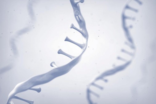 mRNA Medicines | Fundamentals 