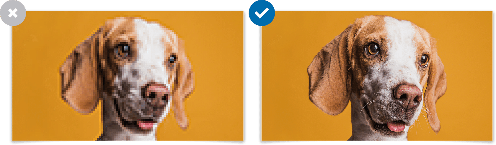 example of blurry and clear image