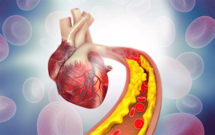 New study reveals potential ‘two-in-one’ treatment for diabetes and heart disease