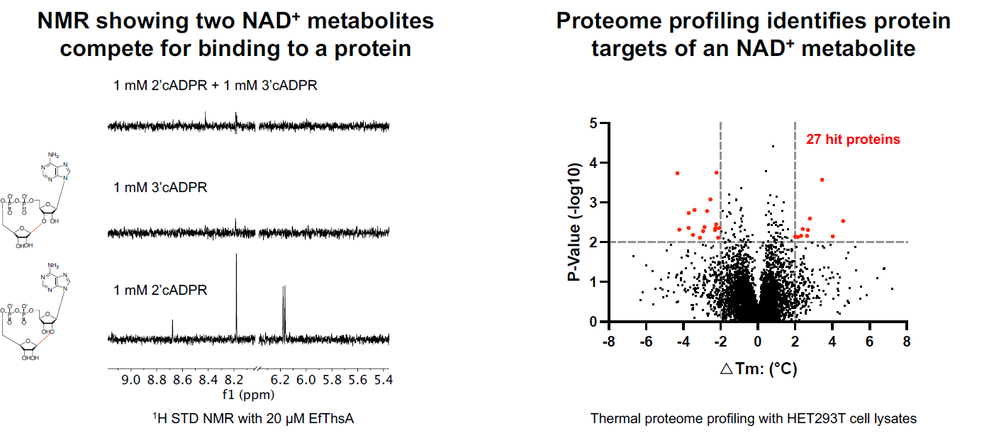 NAD+ metabolites