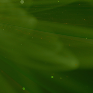 From Nature to Medicine: Engineering Safe, Effective and Scalable Natural Produc... 