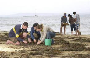 Students at the beach