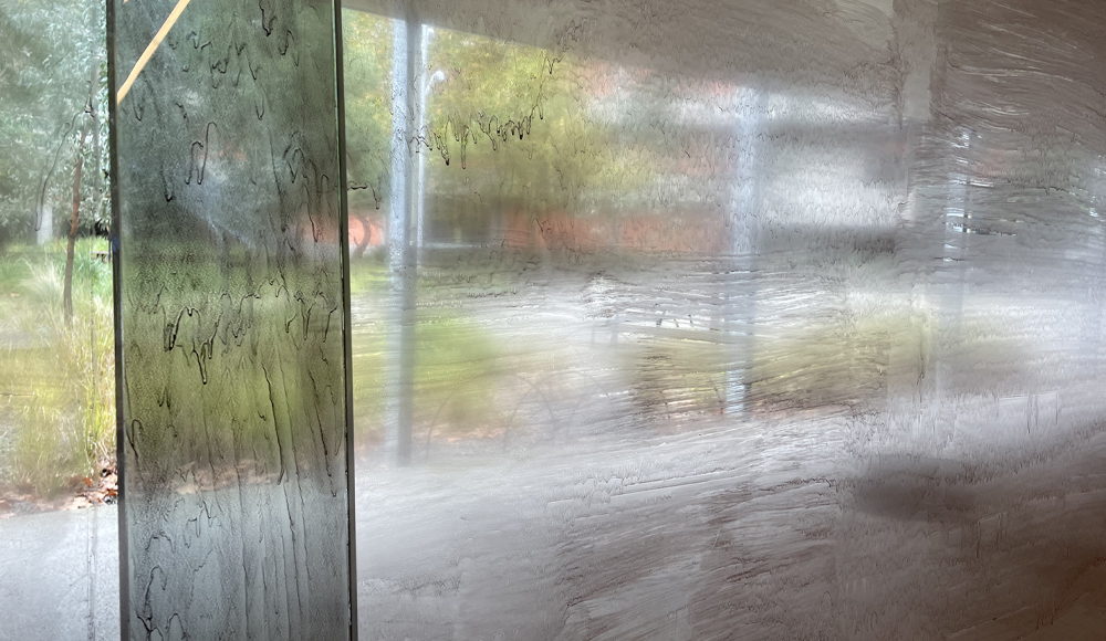 https://www.monash.edu/__data/assets/image/0008/2556206/Acacia-gum-on-glass-2021.jpg