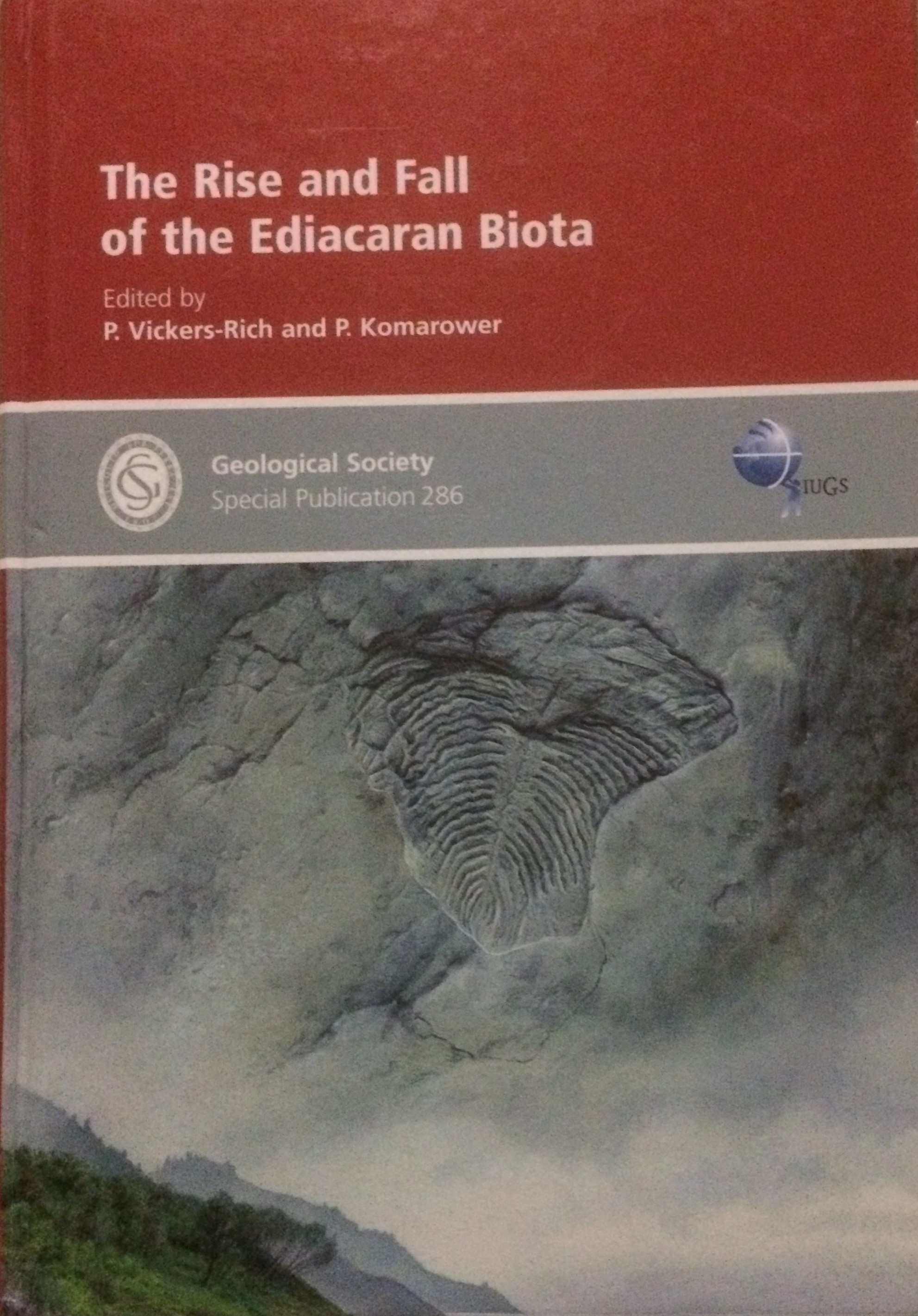 The Rise and Fall of the Ediacaran Biota Front