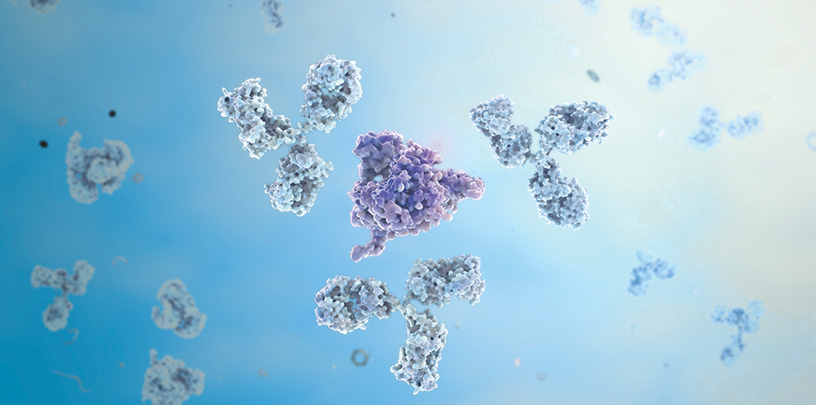 Antibody Discovery