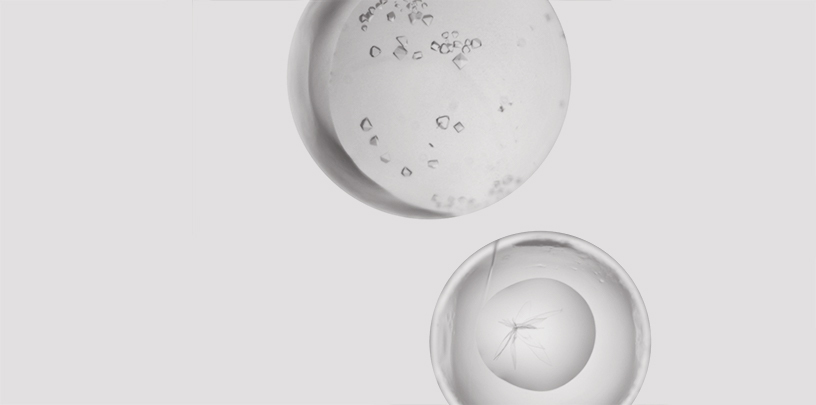 Macromolecular Crystallisation