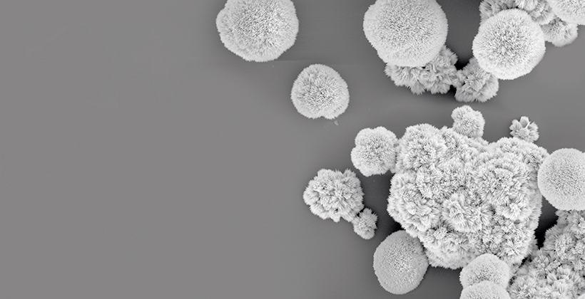 Electron Microscopy