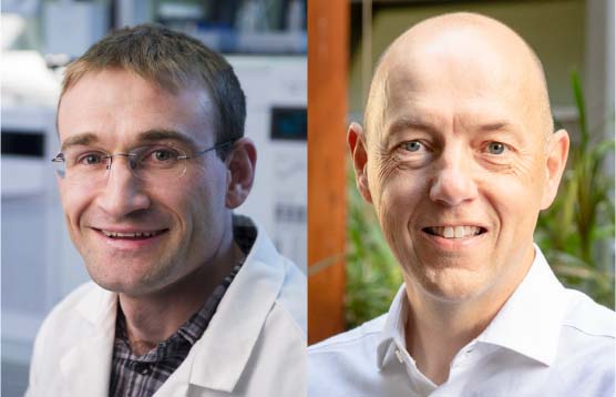 A/Prof Darren Creek, Pete Lambert