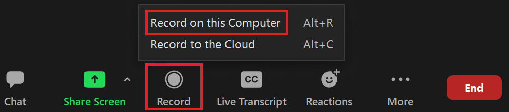 Zoom recording controls