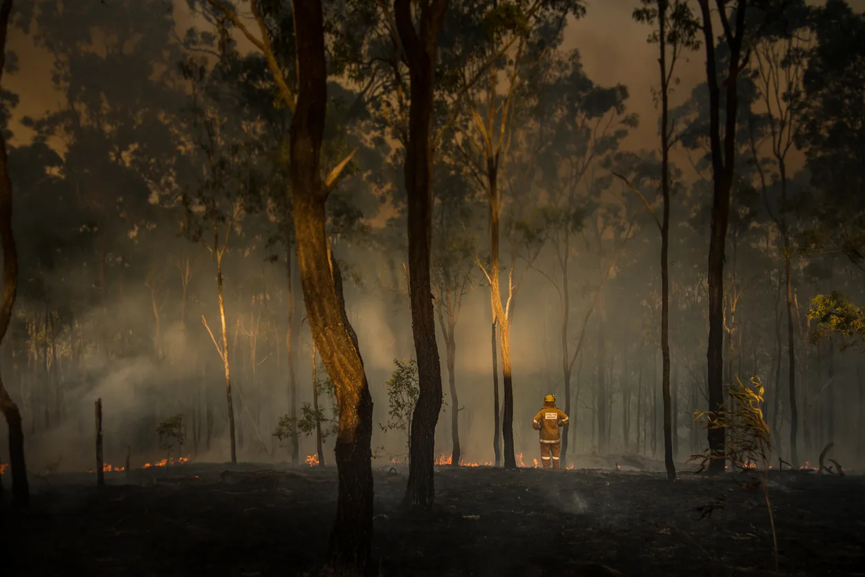 Firefighter in background of fire damaged bush