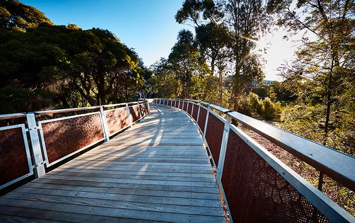 Boardwalk