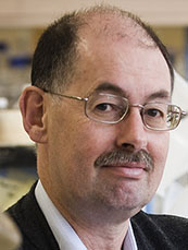 Professor Julian Rood