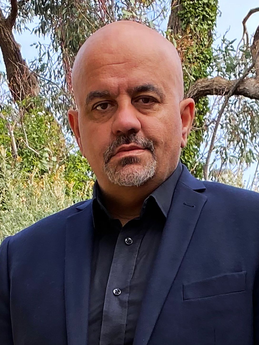 Professor Brian Martin