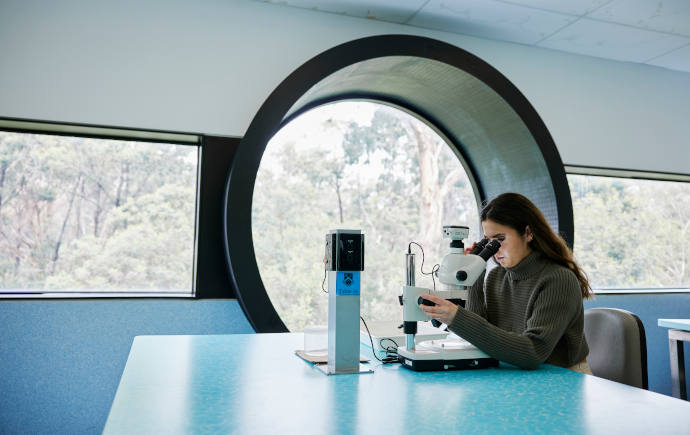 Researcher using microscope