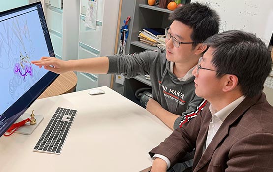 Professor Jiangning Song (R) and PhD student Yumeng Zhang’s (L) study in Nature Machine Intelligence used AI modelling in their quest towards personalised cellular and genetic medicine.