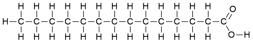 Structural diagram of tetradecanoic acid, showing the long hydrocarbon chain with a carboxyl group consisting of a carbon double-bonded to oxygen and single-bonded to a hydroxyl group.