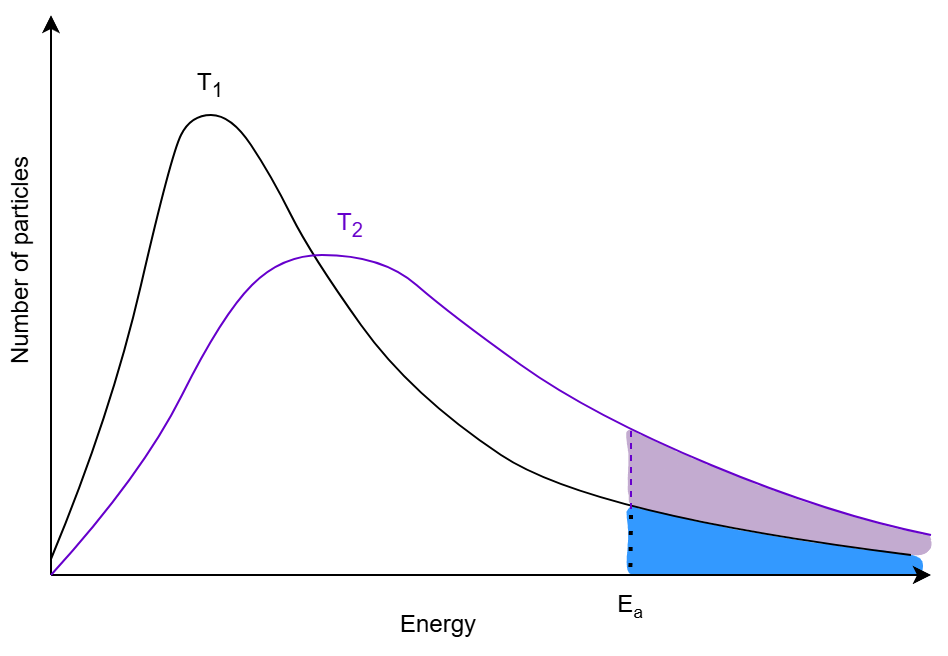 A graph the distributions of particle energies at two different temperatures, labeled T₁ and T₂. The curve for T₂ is broader and shifted to the right compared to T₁. A vertical line indicates the activation energy (Eₐ), with the area under each curve beyond Eₐ representing the number of particles with enough energy to react. The higher temperature (T₂) results in more particles surpassing the activation energy.