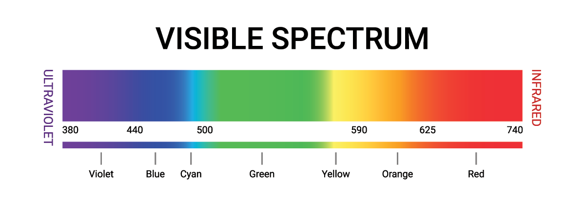 Diagram of the visible light spectrum showing the range of wavelengths from approximately 380 to 740 nanometres. The spectrum transitions smoothly through the colours violet, blue, cyan, green, yellow, orange, and red. The ultraviolet region lies to the left of violet at wavelengths shorter than 380 nm, and the infrared region lies to the right of red at wavelengths longer than 740 nm. Key wavelength markers are labelled at 380, 440, 500, 590, 625, and 740 nm. This diagram illustrates the portion of the electromagnetic spectrum visible to the human eye