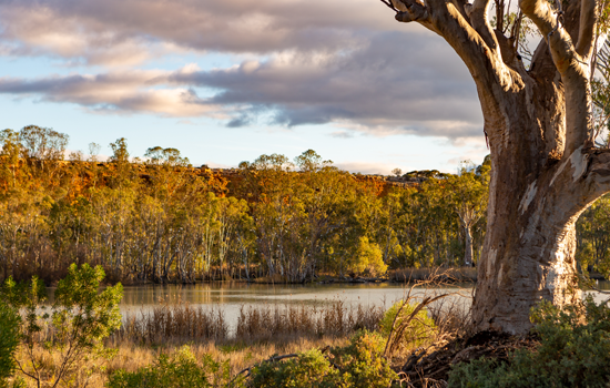 sunlight on lake outback